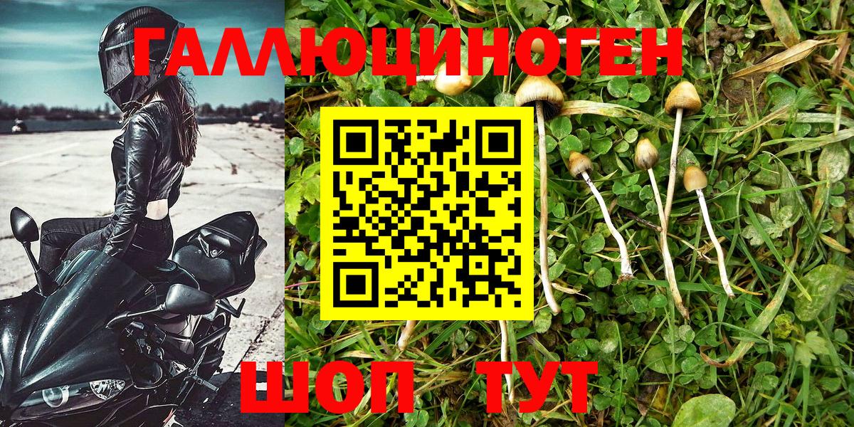 Галлюциногенные грибы мухоморы  Вход с VPN  Балаково 