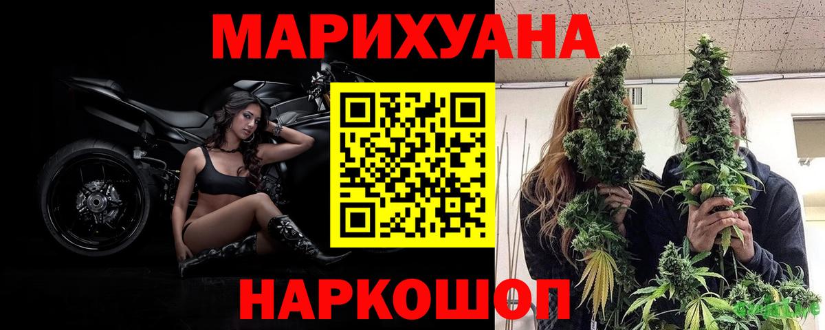 Конопля конопля Балаково